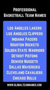 Professional Basketball Team Names