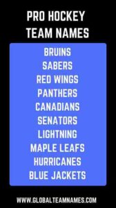 Pro Hockey Team Names