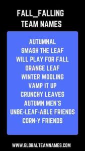 Fall_Falling Team Names